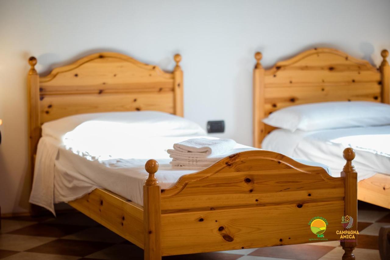 Apartament La Via Antiga Cittanova  Zewnętrze zdjęcie