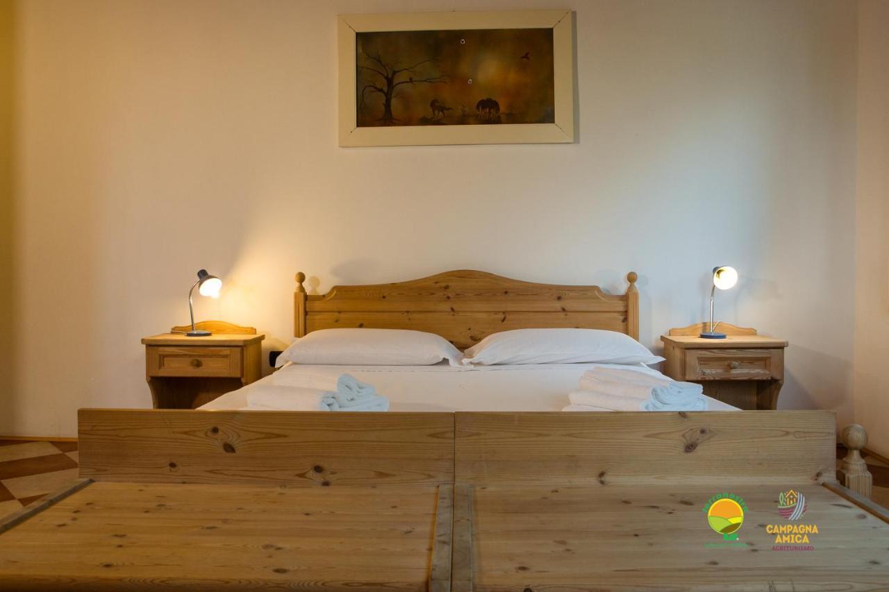 Apartament La Via Antiga Cittanova  Zewnętrze zdjęcie