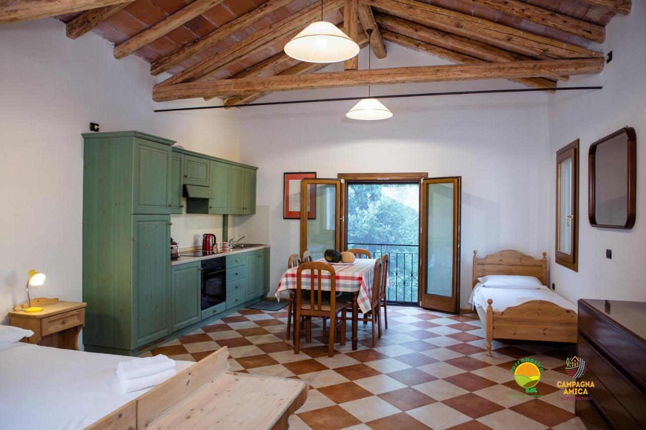 Apartament La Via Antiga Cittanova  Zewnętrze zdjęcie