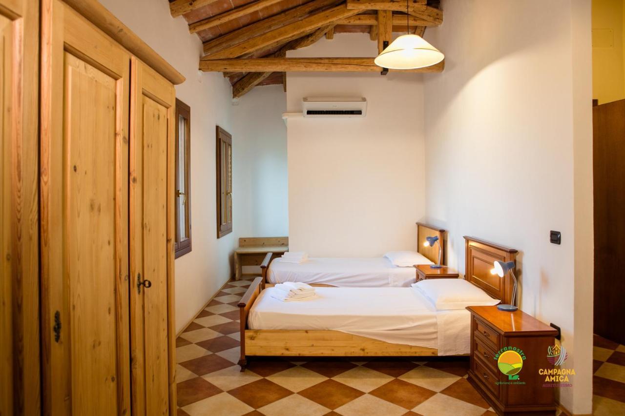 Apartament La Via Antiga Cittanova  Zewnętrze zdjęcie