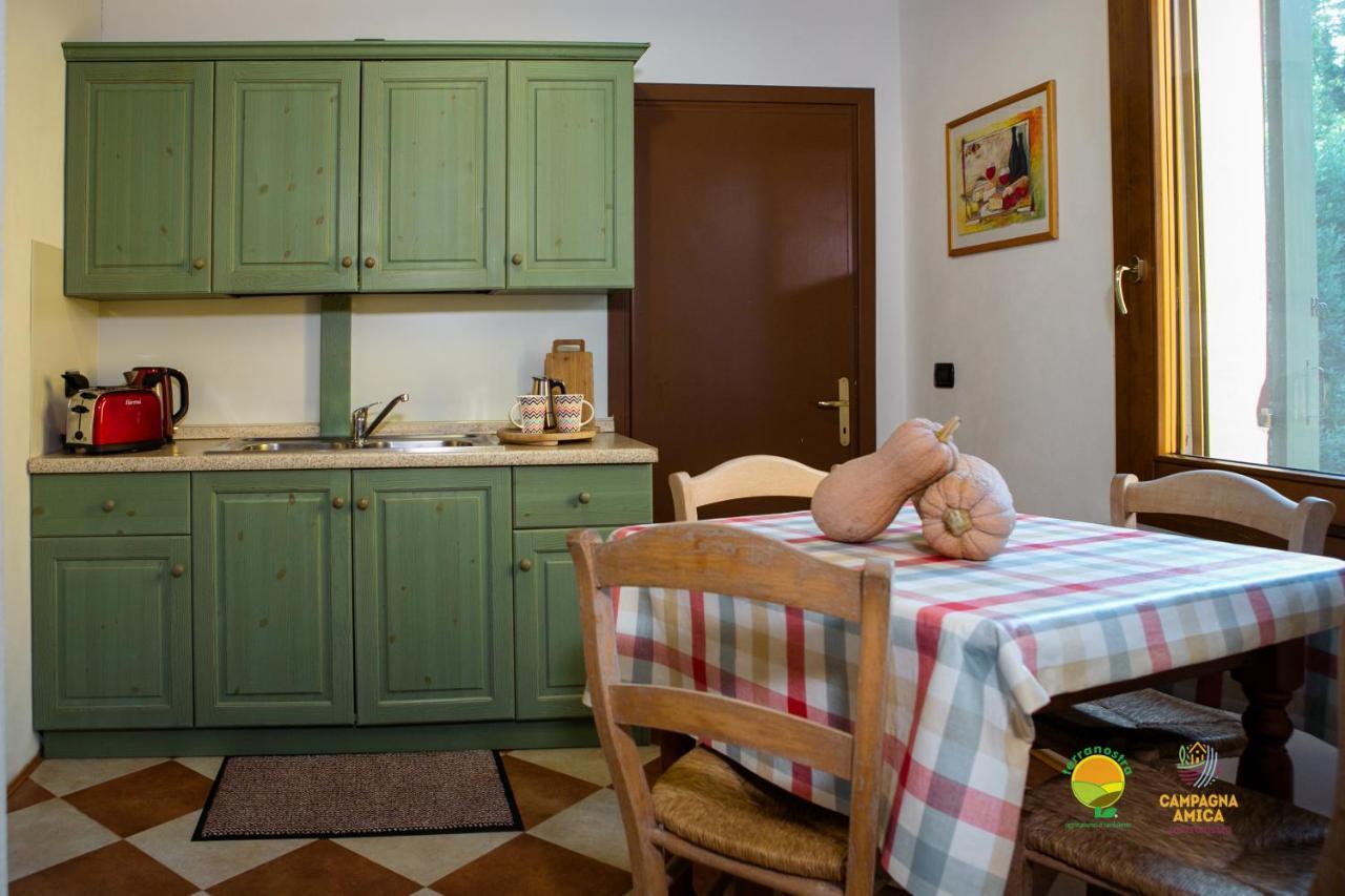 Apartament La Via Antiga Cittanova  Zewnętrze zdjęcie