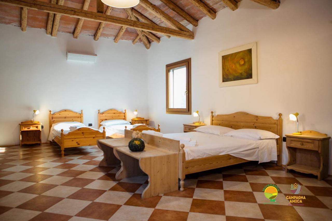 Apartament La Via Antiga Cittanova  Zewnętrze zdjęcie