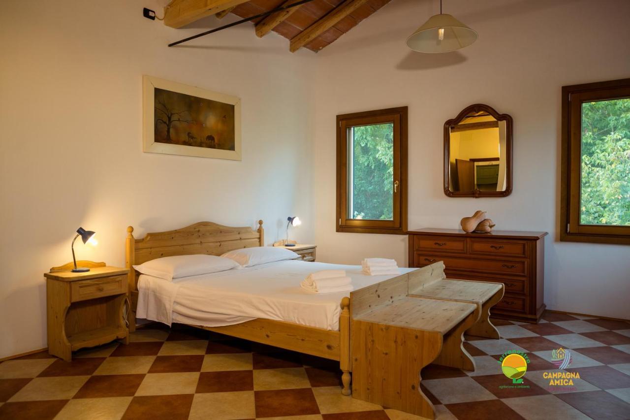 Apartament La Via Antiga Cittanova  Zewnętrze zdjęcie