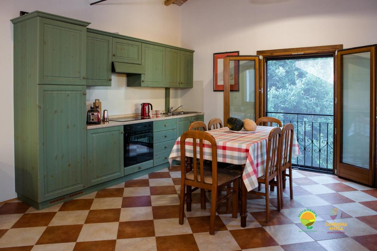 Apartament La Via Antiga Cittanova  Zewnętrze zdjęcie