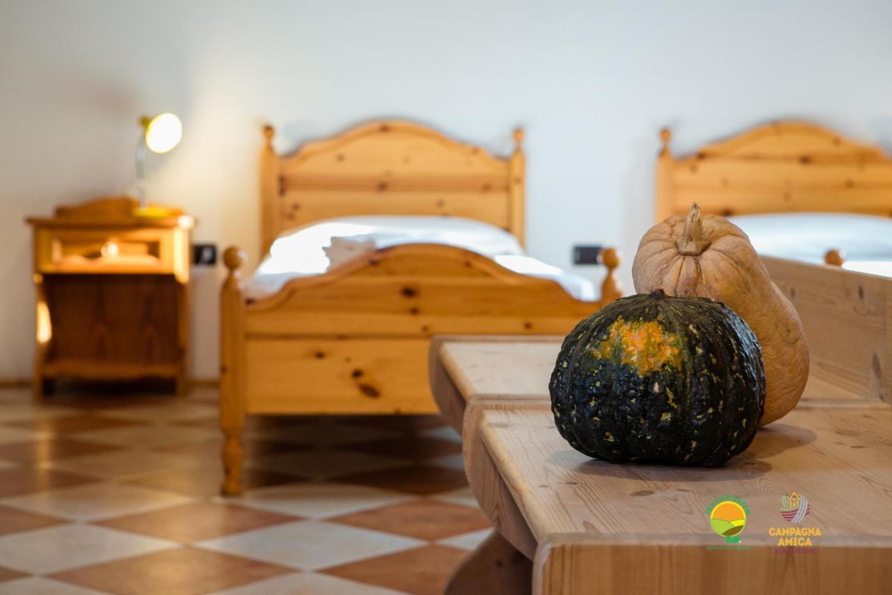 Apartament La Via Antiga Cittanova  Zewnętrze zdjęcie