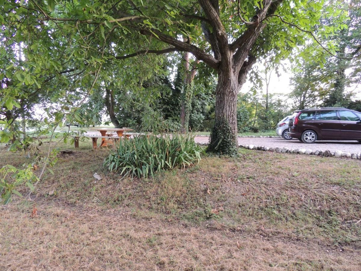 Apartament La Via Antiga Cittanova  Zewnętrze zdjęcie